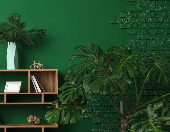 Take It Or Leaf It:The Best Plants for Small Spaces